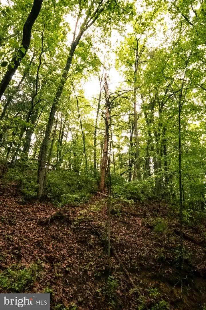 Lots 52 &53 Audrey Lane, Montvale, VA 24122 - #3