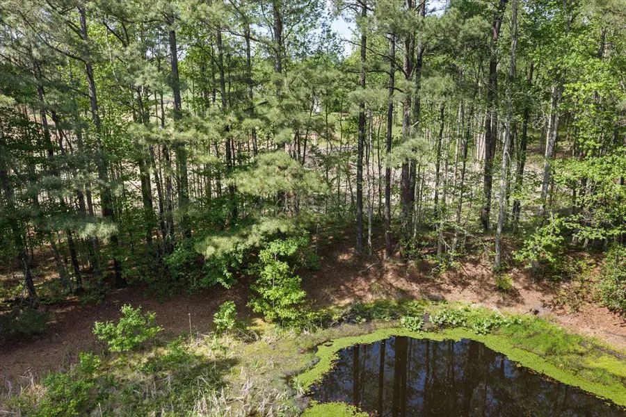 Lot 96 Sturgeon Rd, Lawrenceville, VA 23868 - #3