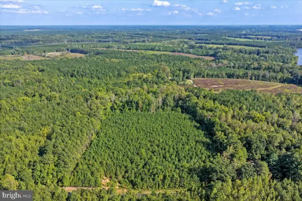 Lot 7 & 8 County Pond Rd, FREEMAN, VA 23856