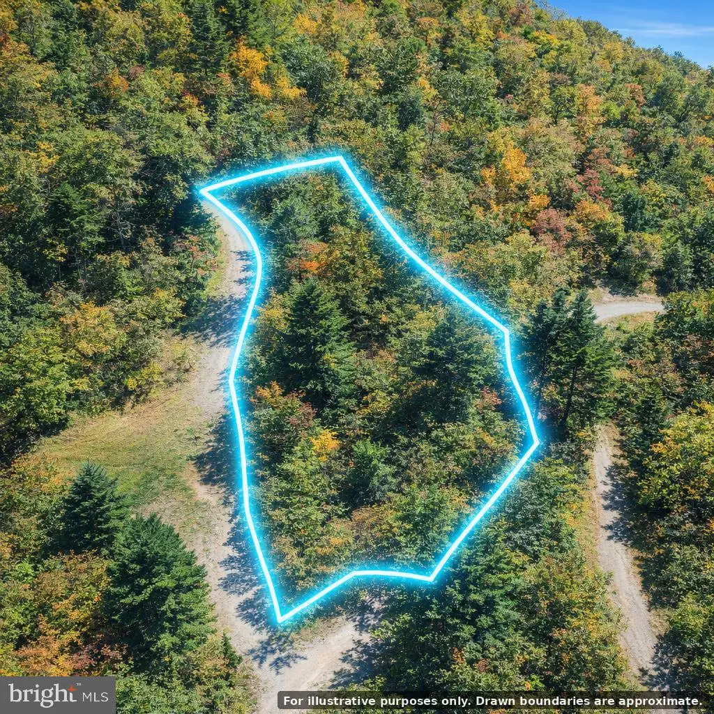 0 River Oaks Dr, Woodlawn, VA 24381 - #1