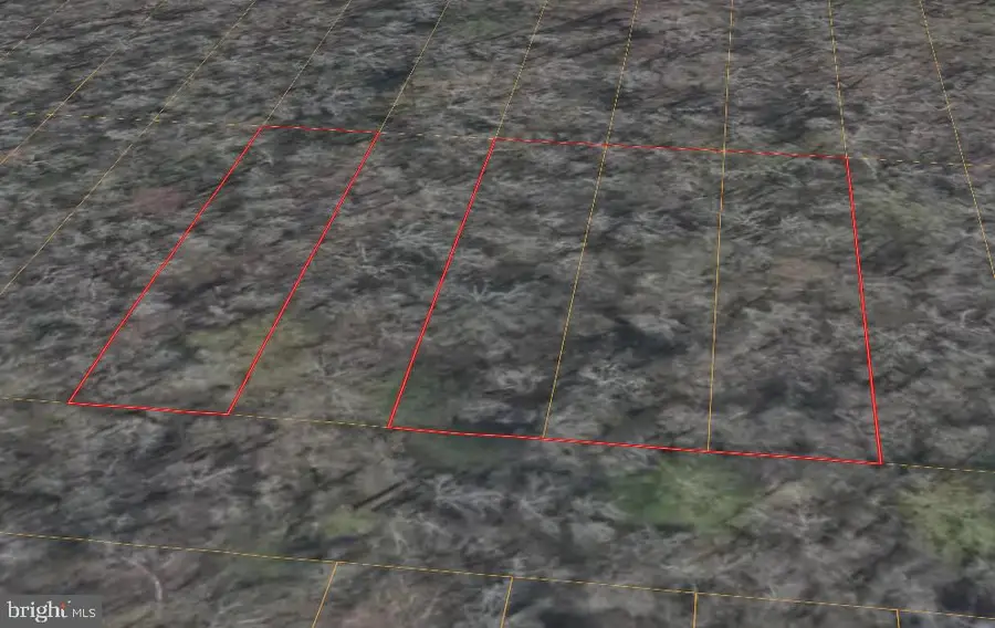 1418 Trinkle St, Chesapeake, VA 23322 - #2