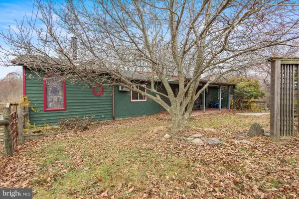 161 Bell Hollow Ln, BLUEMONT, VA 20135