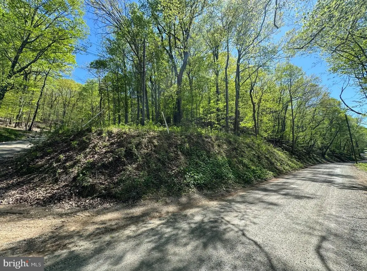 Lot 45 Timber Ln, Bluemont, VA 20135 - #1
