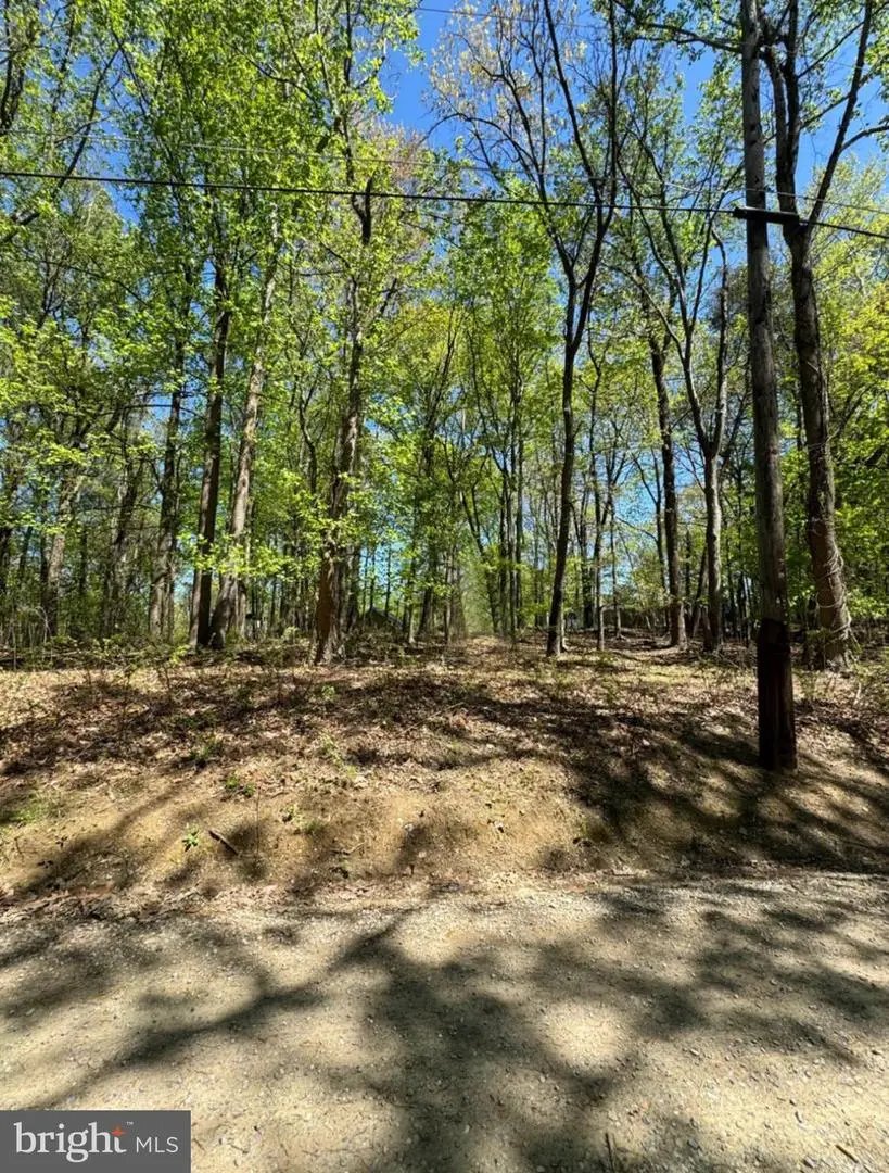 Lot 92 Honeysuckle Ln, Bluemont, VA 20135 - #2