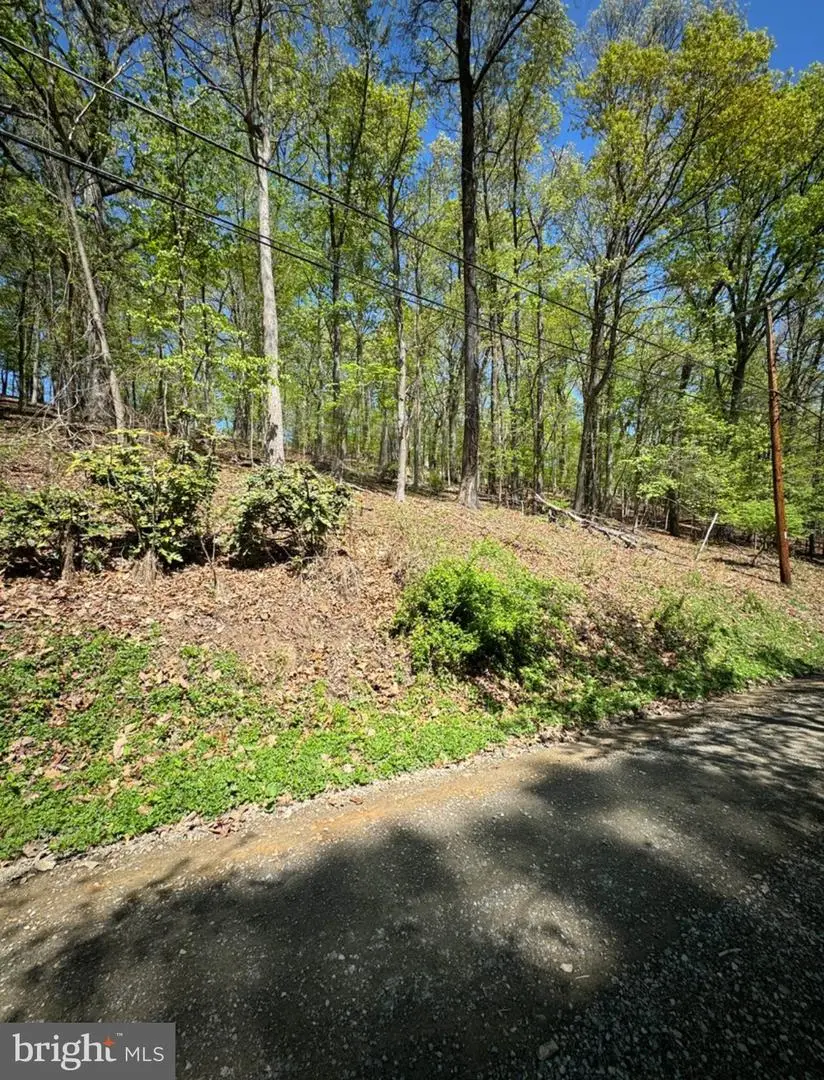 Lot 121 Timber Ln, Bluemont, VA 20135 - #3