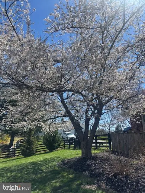 544 Annfield Rd, Berryville, VA 22611 - #3