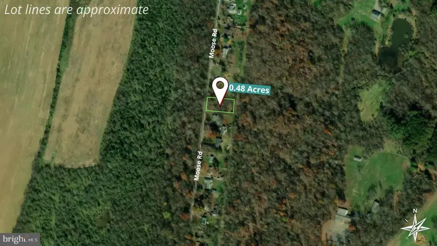 Moose Rd, Berryville, VA 22611 - #3