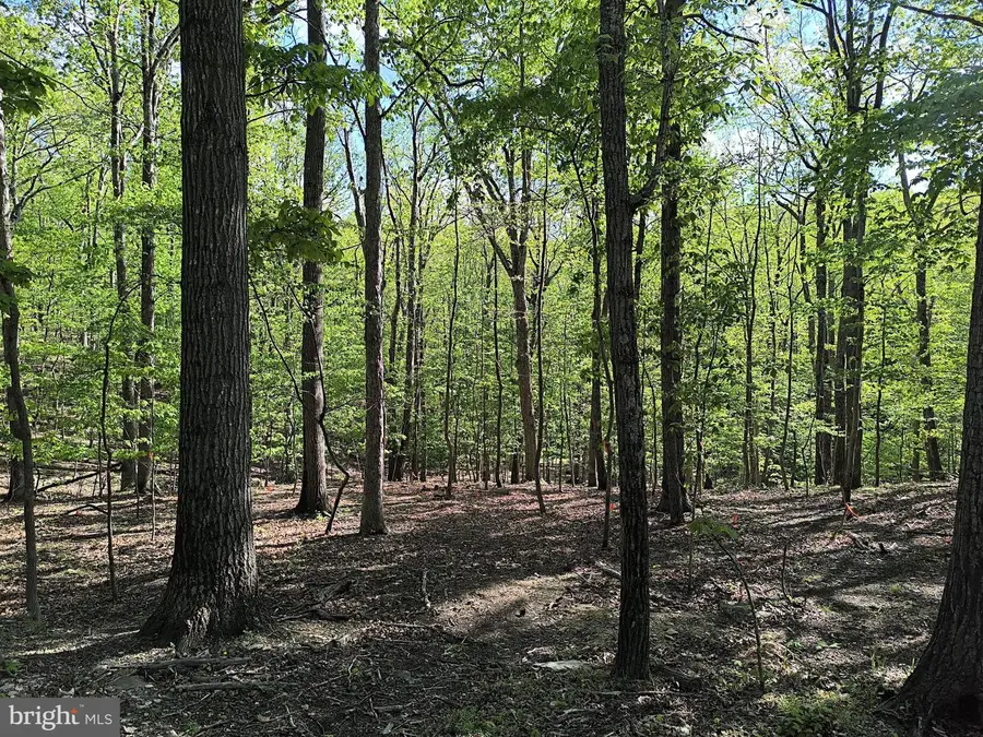 0 Beechwood Ln, Bluemont, VA 20135 - #2