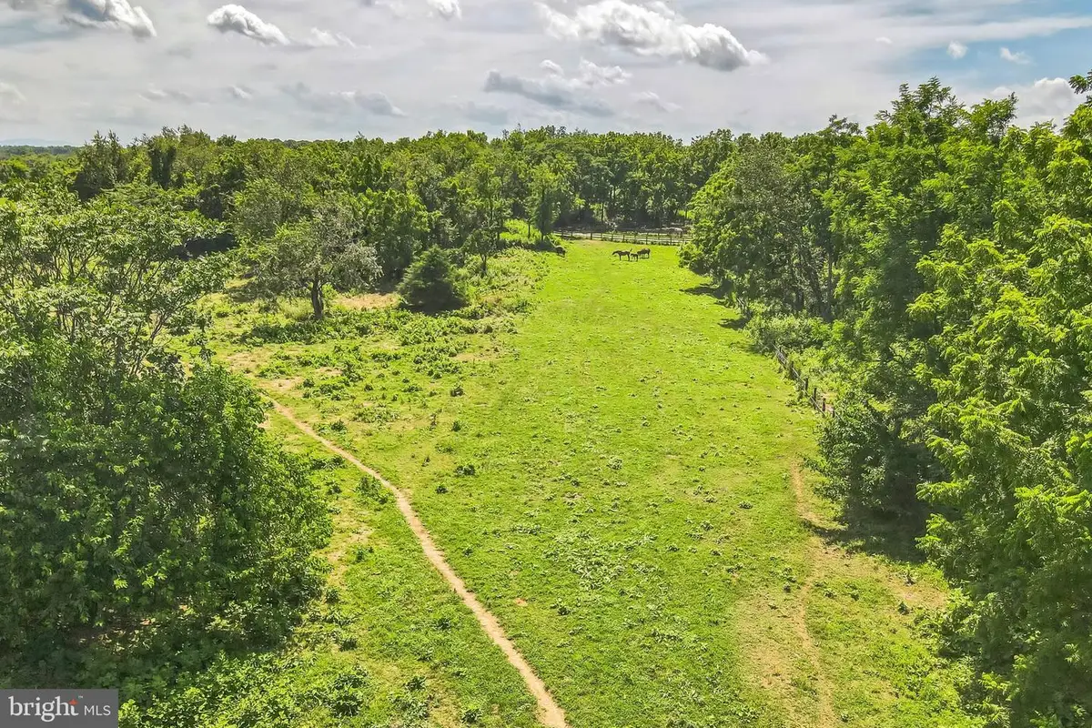 1683 Withers Larue Rd, Berryville, VA 22611 - #1