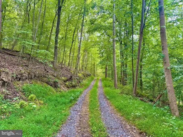 39-a-14 John Mosby Hwy, BOYCE, VA 22620
