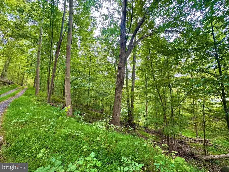 39-a-14 John Mosby Hwy, Boyce, VA 22620 - #2