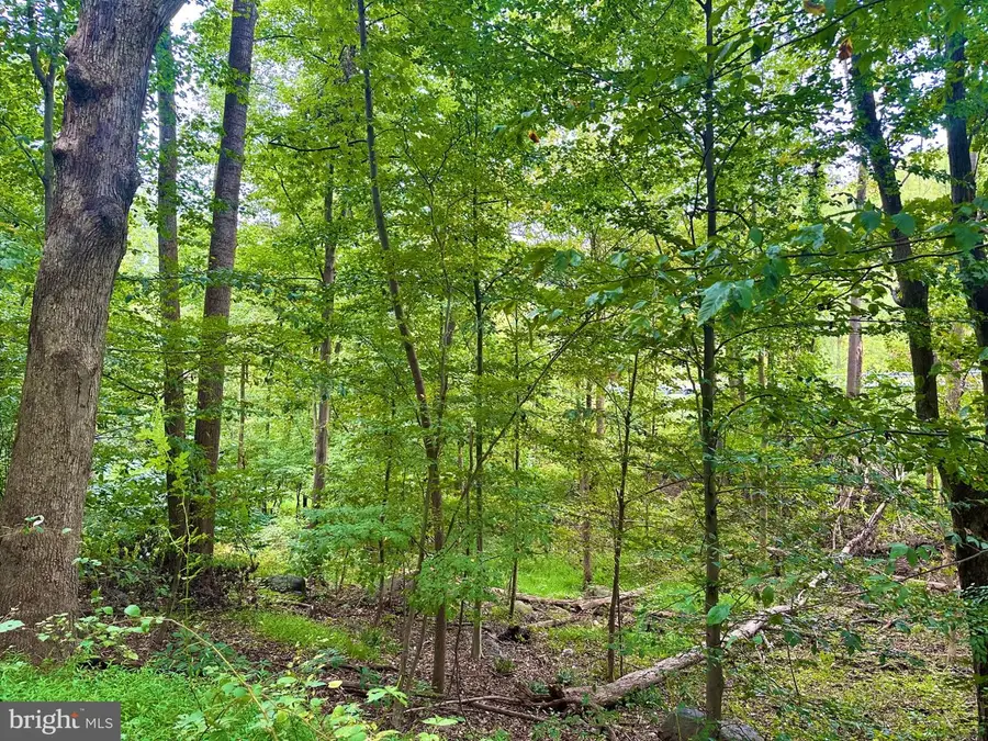 39-a-14 John Mosby Hwy, Boyce, VA 22620 - #3