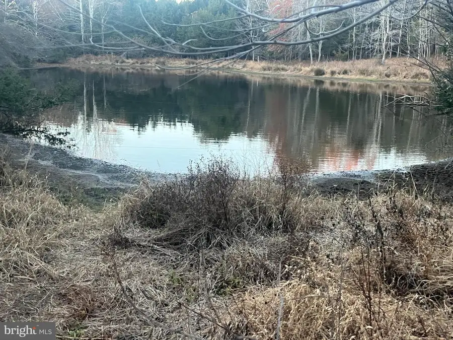 Mitchell Ford Rd, Lignum, VA 22726 - Image #2