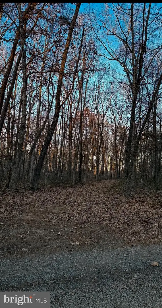 Roberts Lane Ln, Rixeyville, VA 22737 - #2