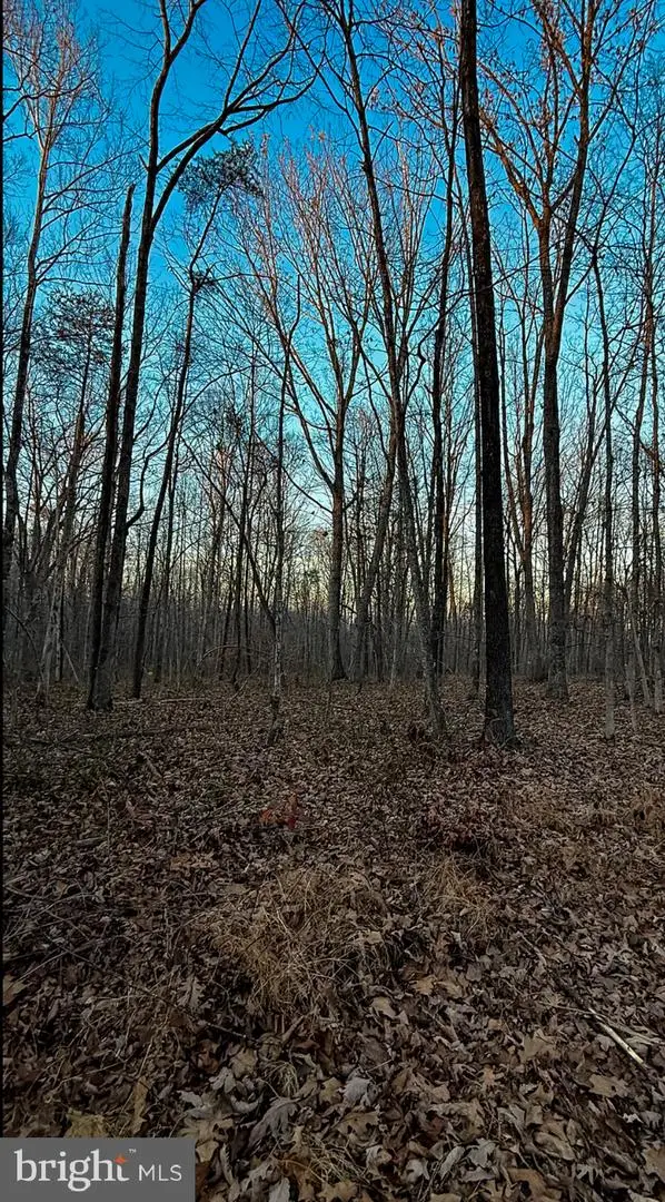 Roberts Lane Ln, Rixeyville, VA 22737 - #3