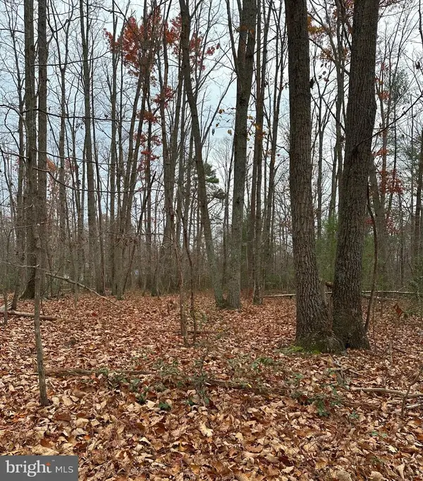 Woodland Church Road, CULPEPER, VA 22701