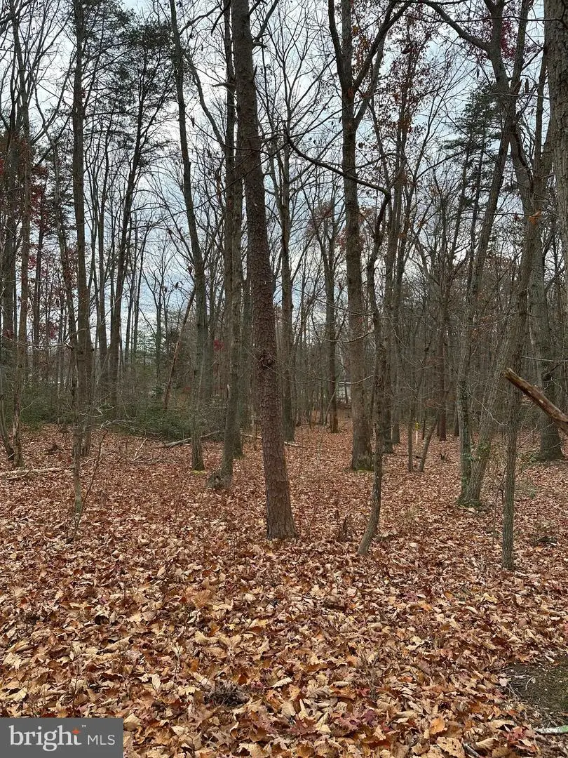 Woodland Church Road, Culpeper, VA 22701 - Image #3