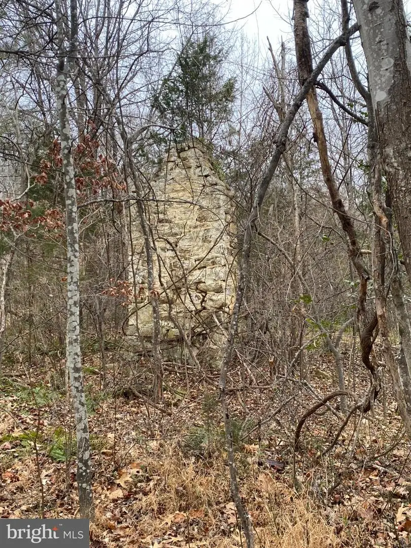 0 Settle School Rd, Rixeyville, VA 22737 - Image #3