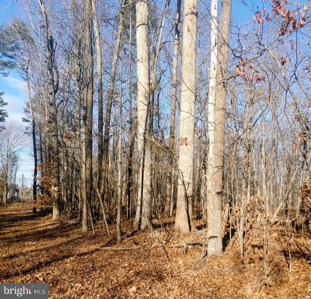 Lot 2 Rixeyville Rd. Rte 229, Adj To Lot 1, Culpeper, VA 22701 - Image #1