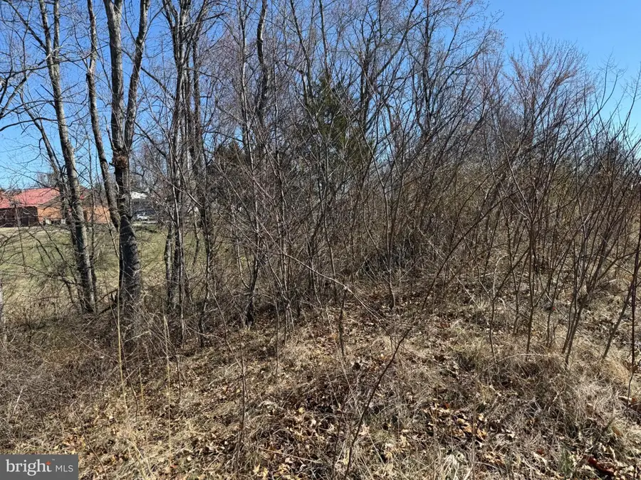 0 Colonel Jameson Blvd, Culpeper, VA 22701 - #3