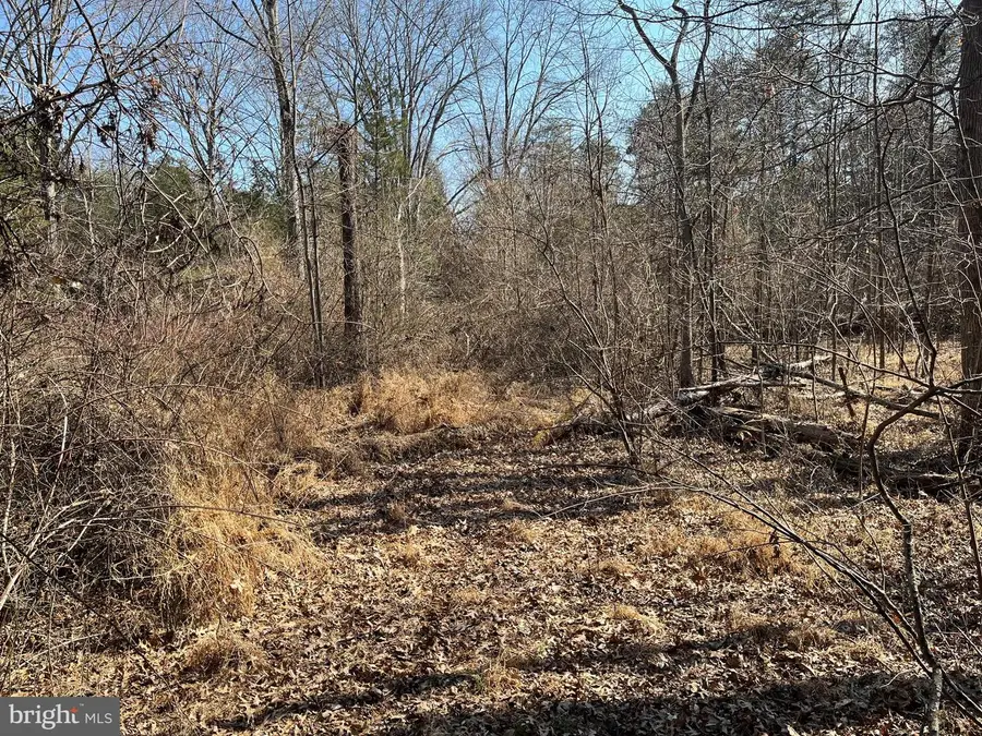 18491 Clayhill Rd, Stevensburg, VA 22741 - #3