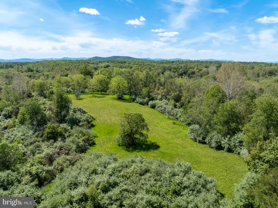 1 Louise Ln, Rapidan, VA 22733 - #3