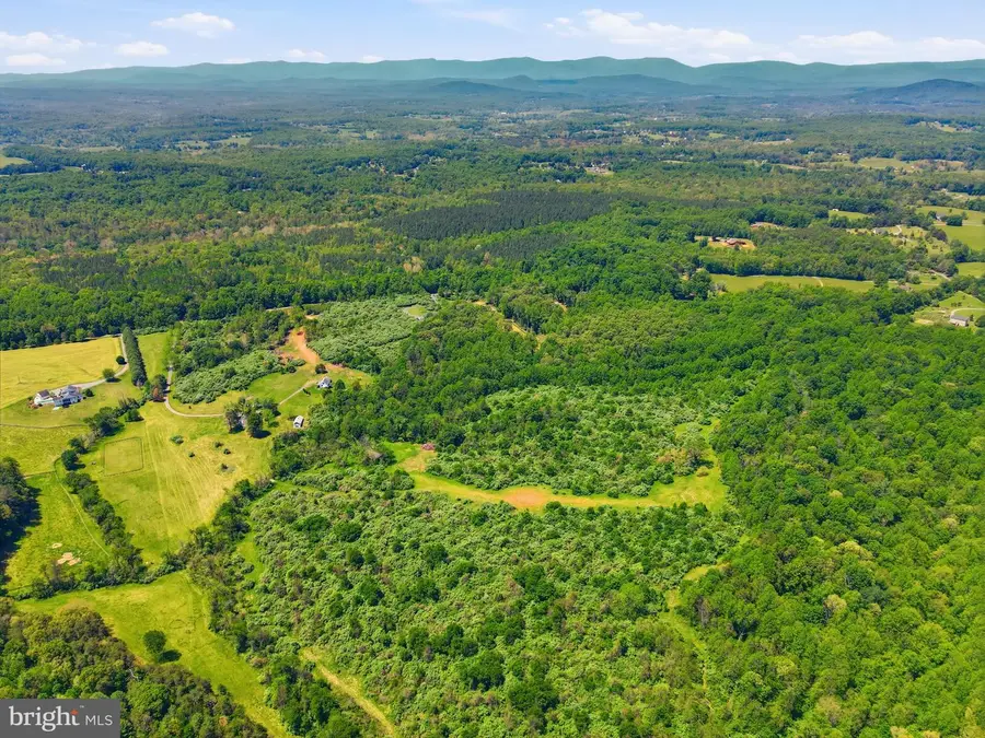 15371 Sheads Mountain Rd, Rixeyville, VA 22737 - #2