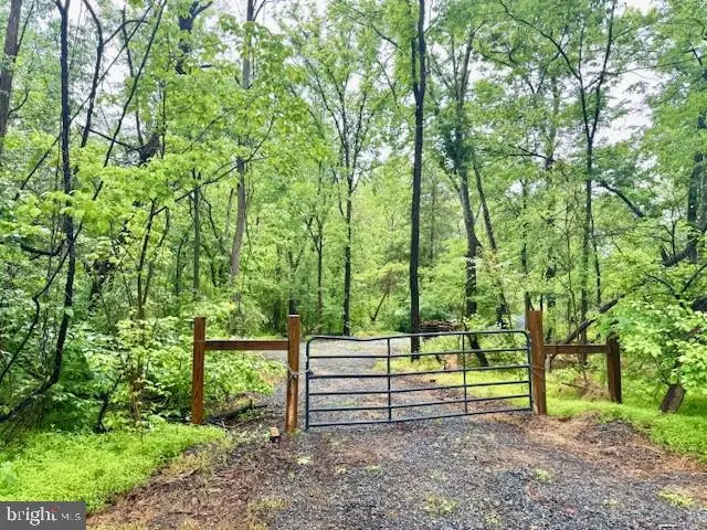 Slaughters Mill Rd, Mitchells, VA 22729 - #1