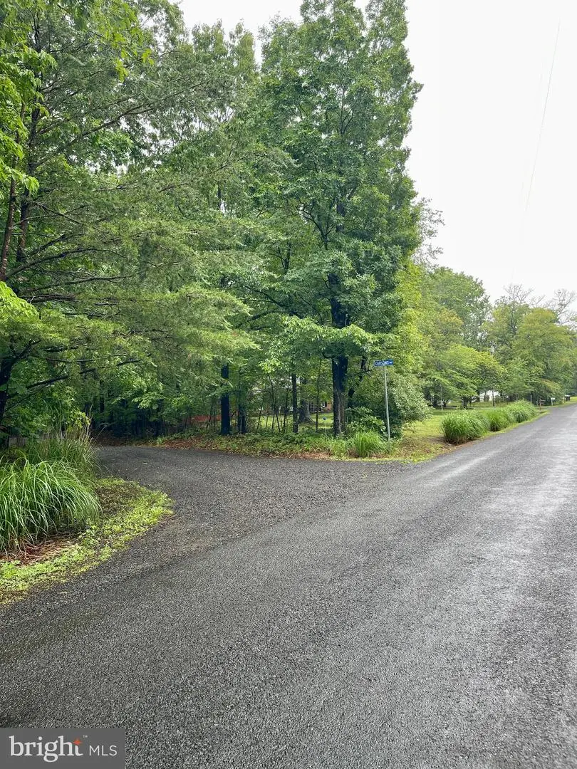 Carsons Way, Amissville, VA 20106 - #1