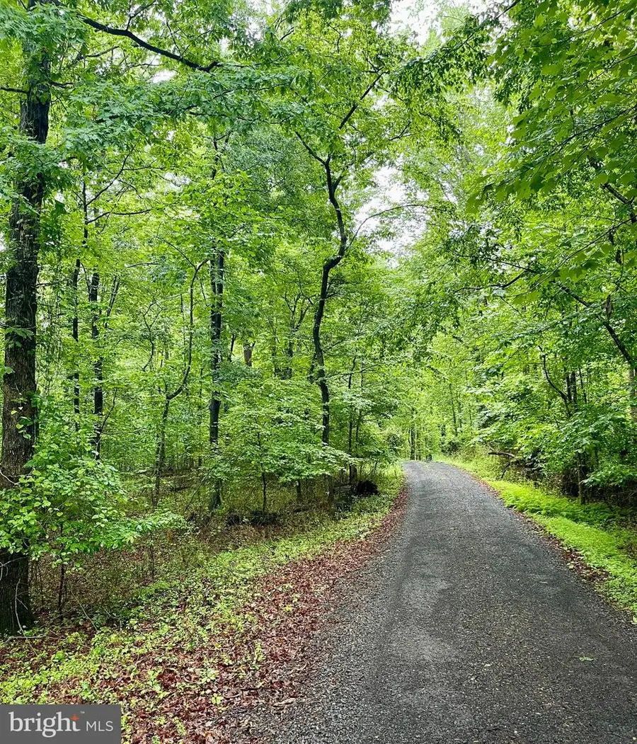Carsons Way, Amissville, VA 20106 - #2
