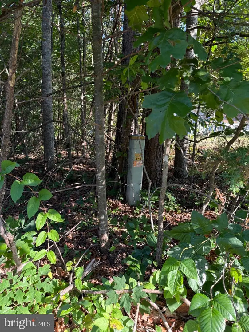 Kirtley Trl, Culpeper, VA 22701 - #3
