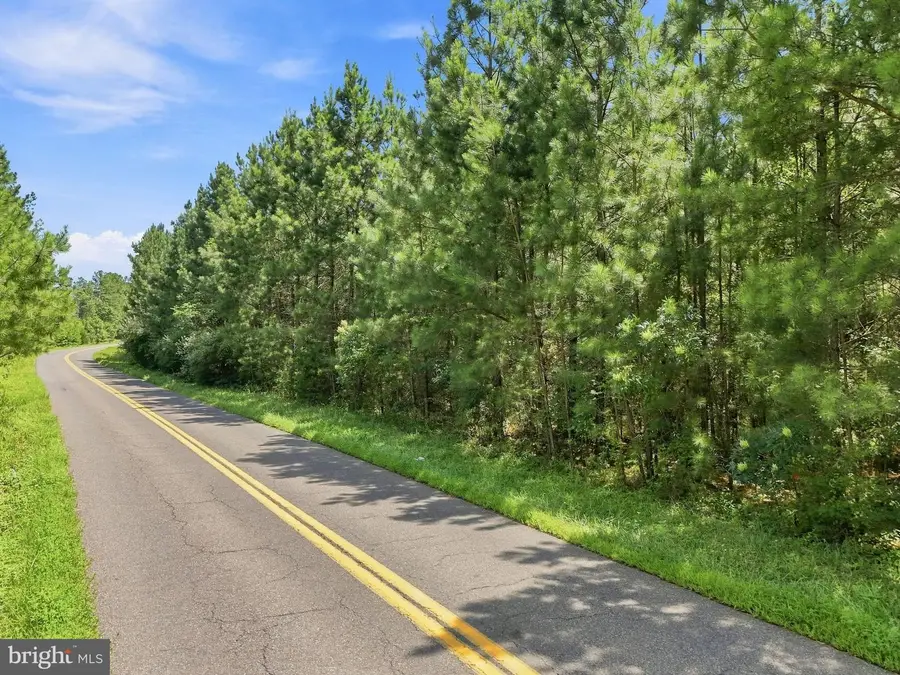 Eleys Ford Rd, Lignum, VA 22726 - #2
