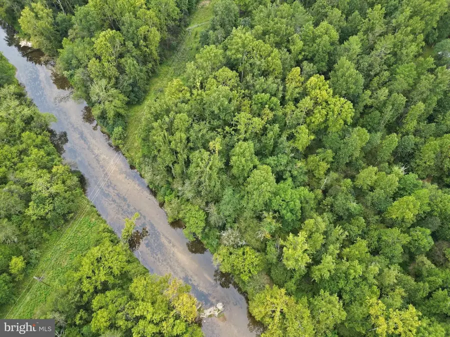 13185 Mill Creek Ct, Reva, VA 22735 - #3