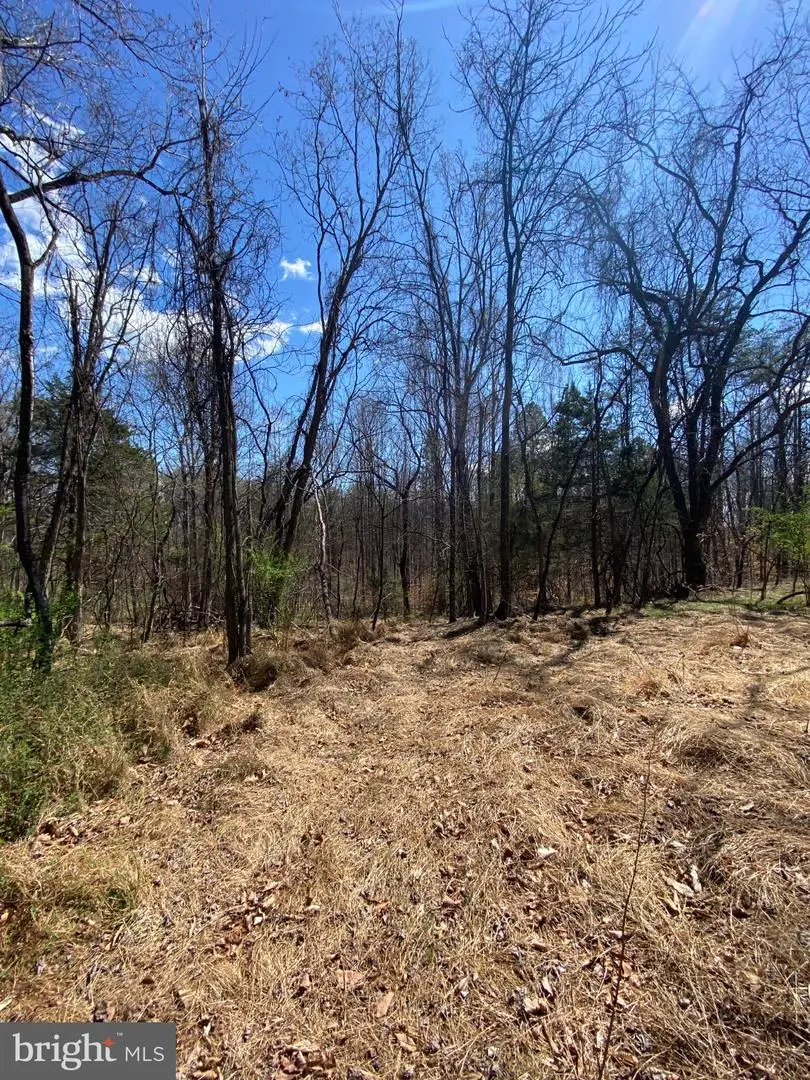 8424 Kilby Rd, Culpeper, VA 22701 - #1