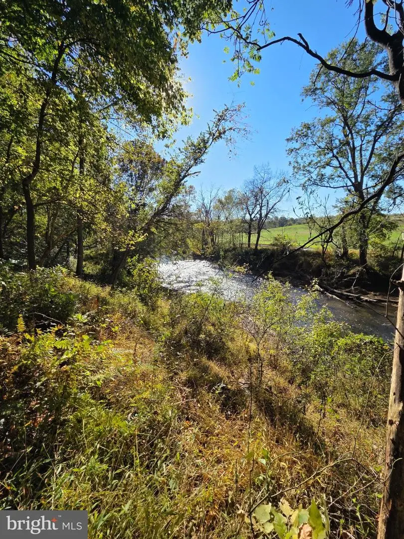 Lot 2 Docs 14+ Acres Rd, Rixeyville, VA 22737 - #1