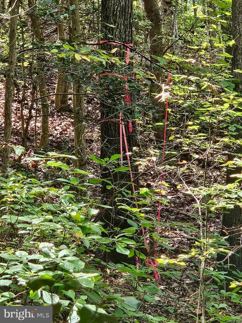 00 Off Of Long Branch Rd, Woodford, VA 22580 - Image #1