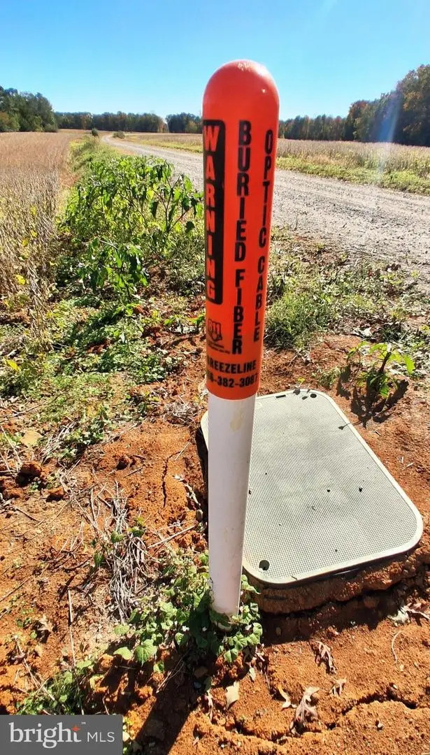 Liberty Fork Road, Bowling Green, VA 22427 - Image #3