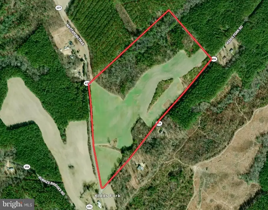 53.778 Acres Kidds Fork Rd, Milford, VA 22514 - Image #3