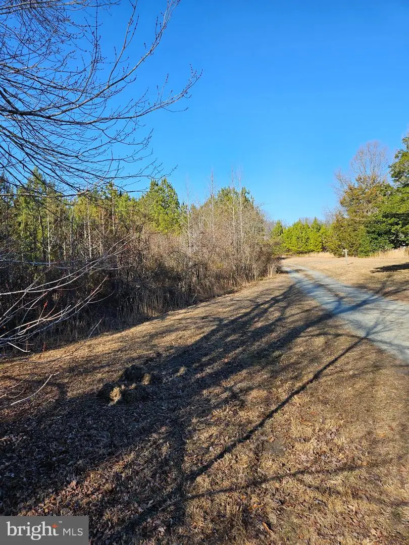 11489 Railroad Ln, Ruther Glen, VA 22546 - #3