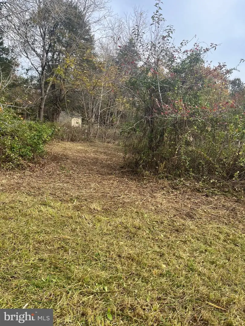 21263 Pendleton Rd, Bowling Green, VA 22427 - #2