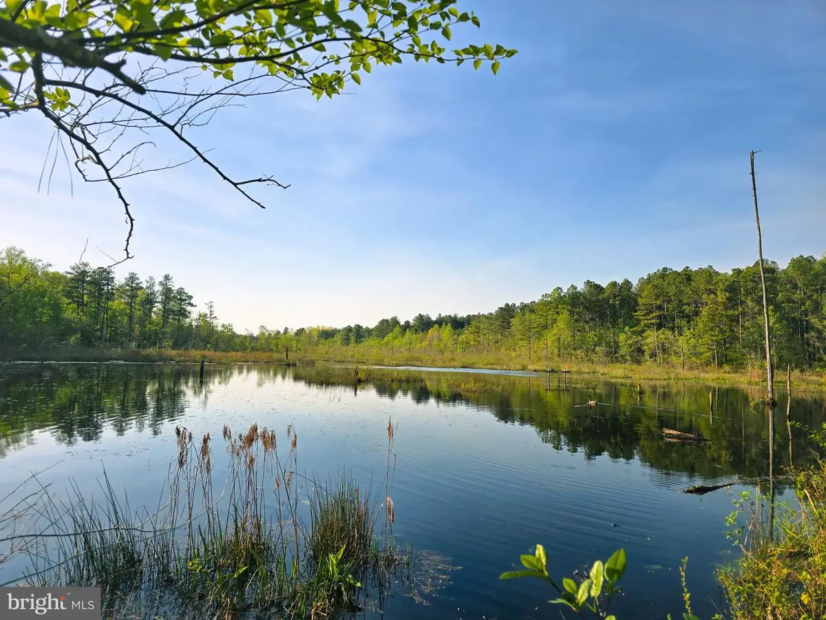 Lot 43a & 34b Jennings, Ruther Glen, VA 22546 - #1