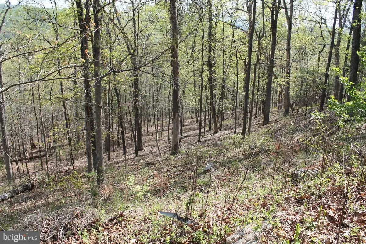 224 Estate Dr, Ruther Glen, VA 22546 - #1