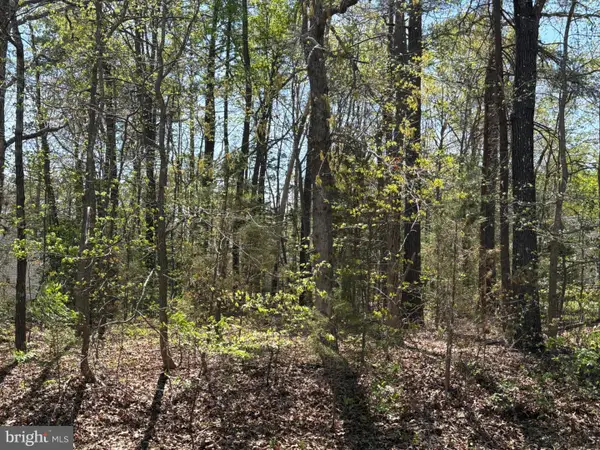 411 Pocahontas Dr, RUTHER GLEN, VA 22546