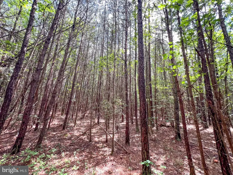 25.5 Acres Ladysmith, Ruther Glen, VA 22546 - #3