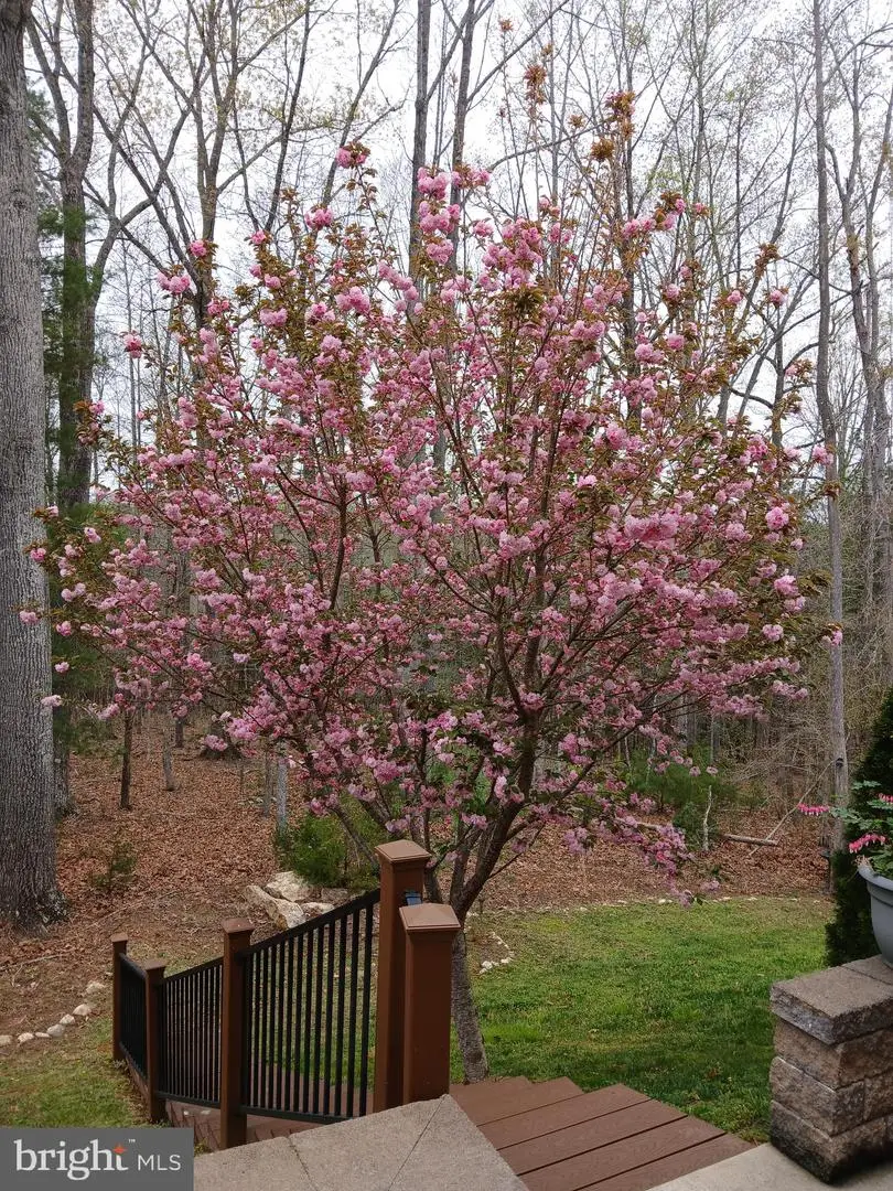 164 Retirement Dr, Hardy, VA 24101 - #3