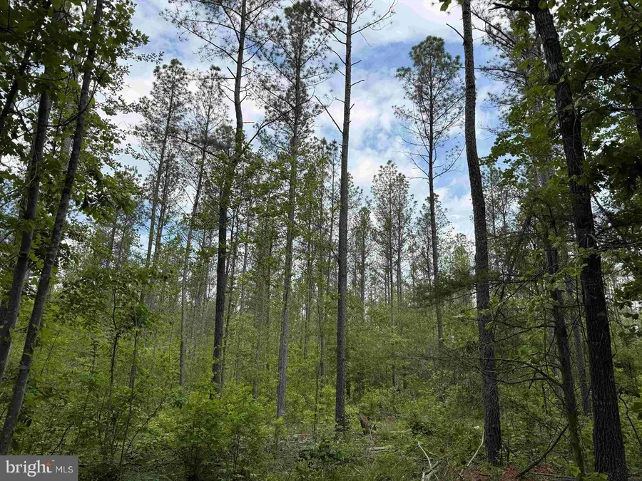 West River Road (tract: Jr Sadie Flanagan-1), Fork Union, VA 23055 - #2