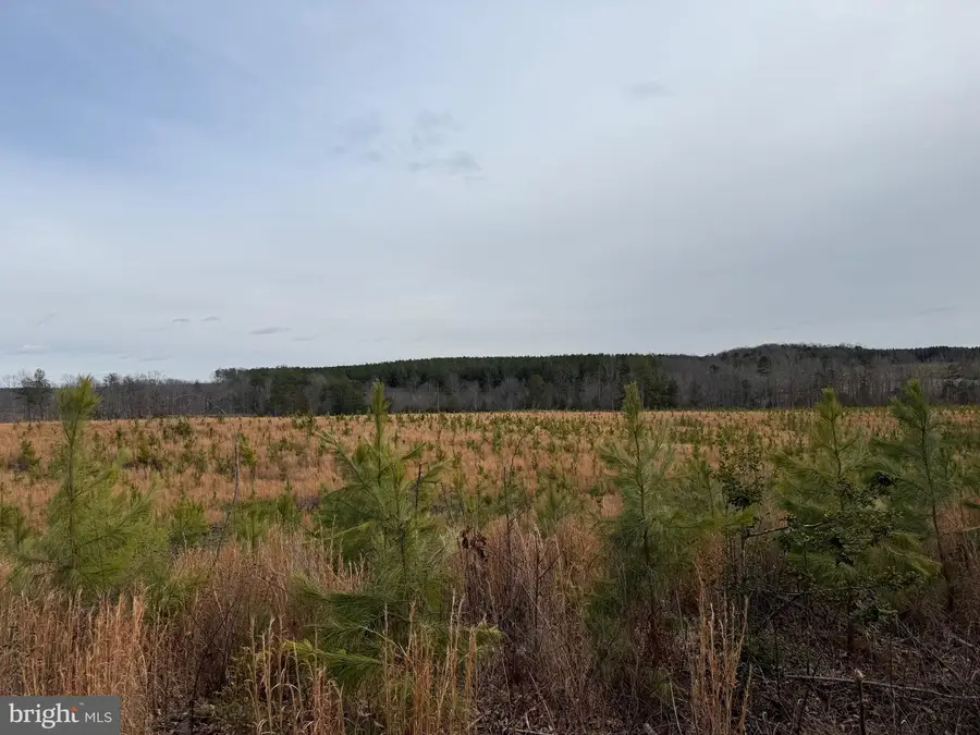 Tbd Community House Rd, Kents Store, VA 23084 - #3