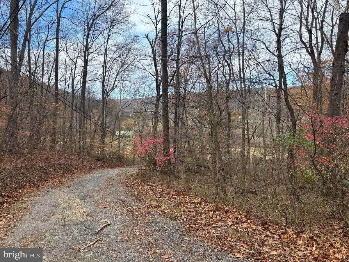 Fiery Run Rd, Linden, VA 22642 - Image #1