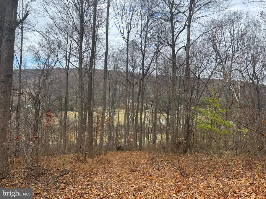Fiery Run Rd, Linden, VA 22642 - Image #3