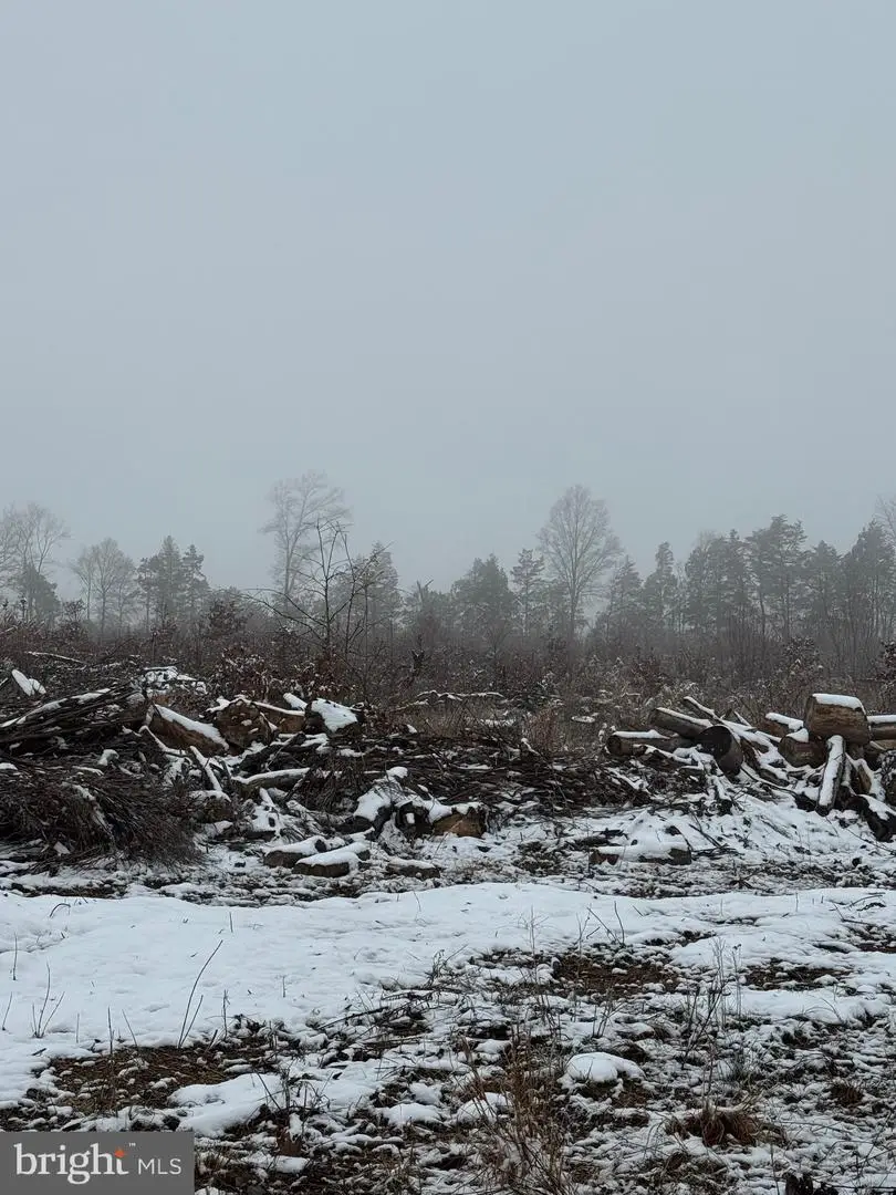 000 Old Mill Rd, Midland, VA 22728 - Image #1